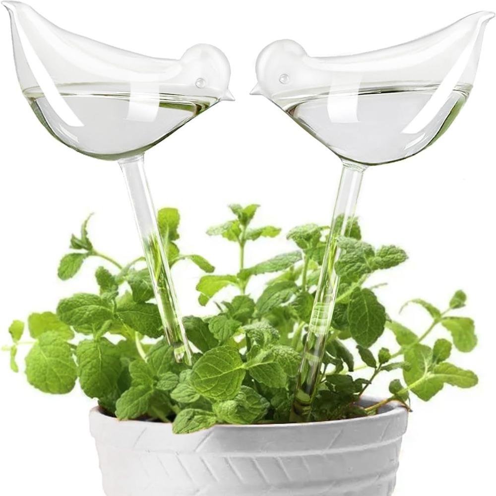 

2pcs Plant Watering Globes Self Watering Planter Insert Spikes Drip Devices Clear Glass Automatic Water Bulbs for Outdoor&Indoor Plants 2pcs