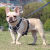 Breathable Dog Harness and Leash Set Tactical Reflective Puppy Vest Harness For Small Medium Dogs Cats Chest Strap Pet Supplies