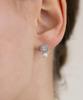 Tatiana Cushion Cubic Pearl Drop Earrings Ec3302