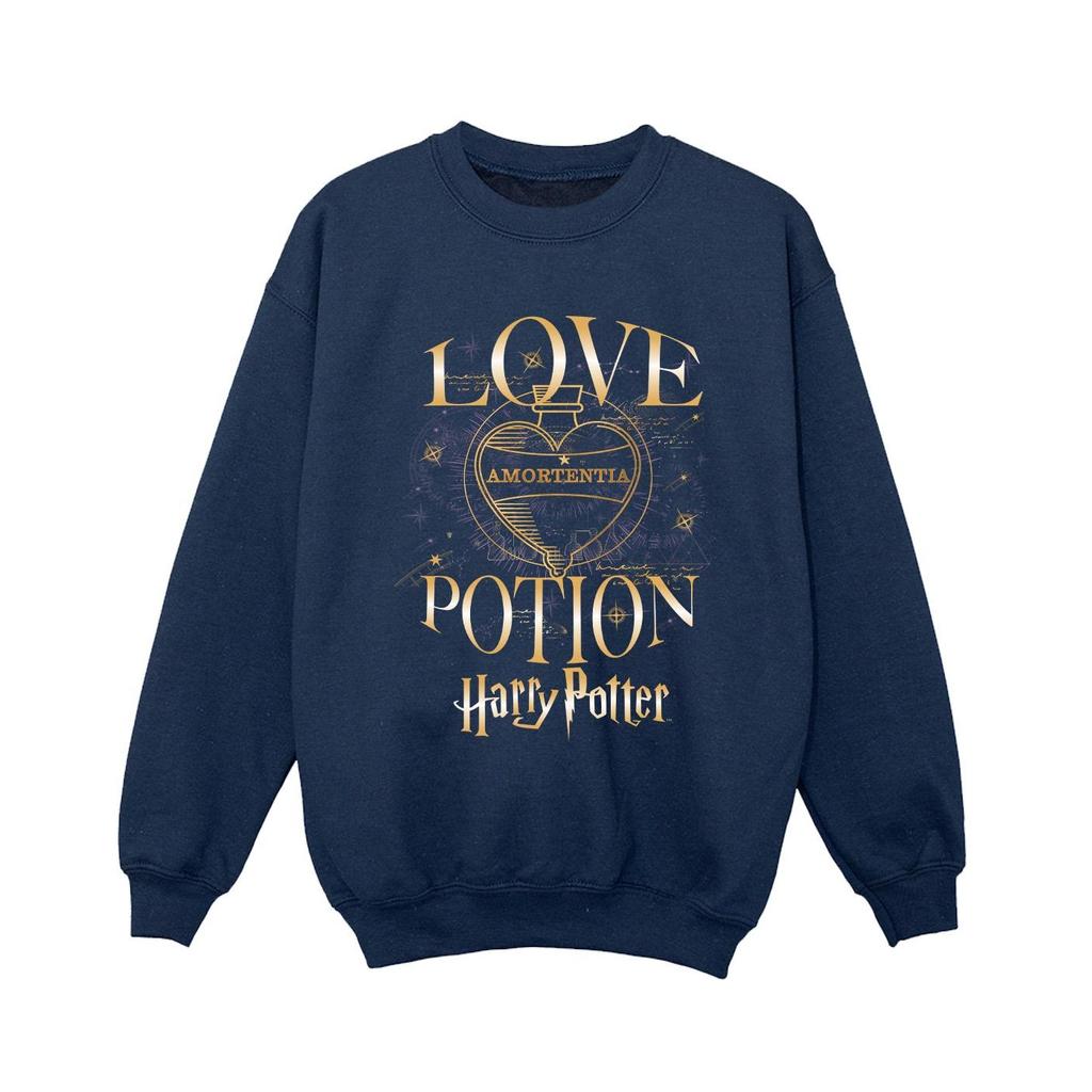Harry Potter Boys Love Potion Sweatshirt