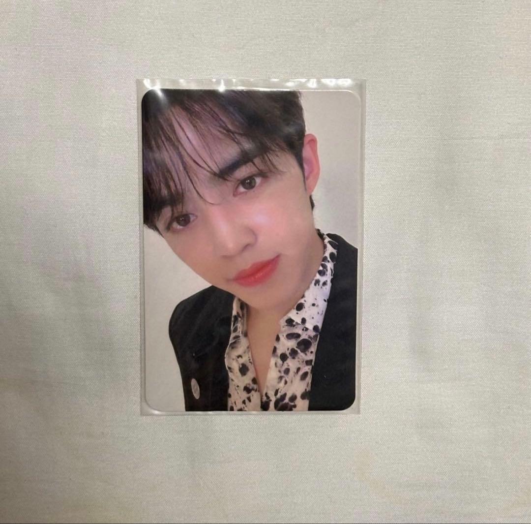 

[USED] S.Coups Seagull China