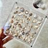 1Pc Rock Collection Box For Bead Nail Jewelry Acrylic Magnetic Seashell Storage Box 36/64 Grids Small Craft Organizers Container