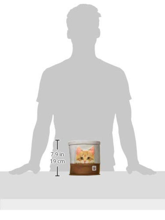 BONFORM Car Trash Felissimo Cat Club FN Hyokkori Kitten for Also Suitable for Small Beige Can, Design, Kei/Standard Cars, Items, 17.5x17.5x18cm,