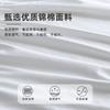 Beauty Salon Bed Sheets with Breathable Holes Thicken Massage Bedsheets Absorb Water Anti Wrinkle Dust-proof Bed Cover