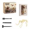 DIY Dinosaur Fossil Excavation Kit for Kids Educational Archaeology Toy Includes Dinosaur Skeleton Model and Excavation Tools for Hands On Learning