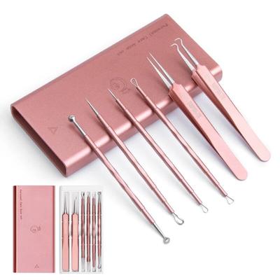 Strumento per la rimozione di brufoli e punti neri, ago per acne in acciaio inossidabile, clip per cellulare affilata, detergente per pori, strumento per la cura della pelle del viso, strumento per il trucco
