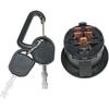 Garden Parts Ignition Switch Key for Ariens 42915215 50915217 60915219 911413 915131 915141 915143 915151 915155 915157 915159 915161 915169