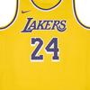 Nike Dri Fit Kids' Top ICON EDITION Swingman Kids' IQ7133-728