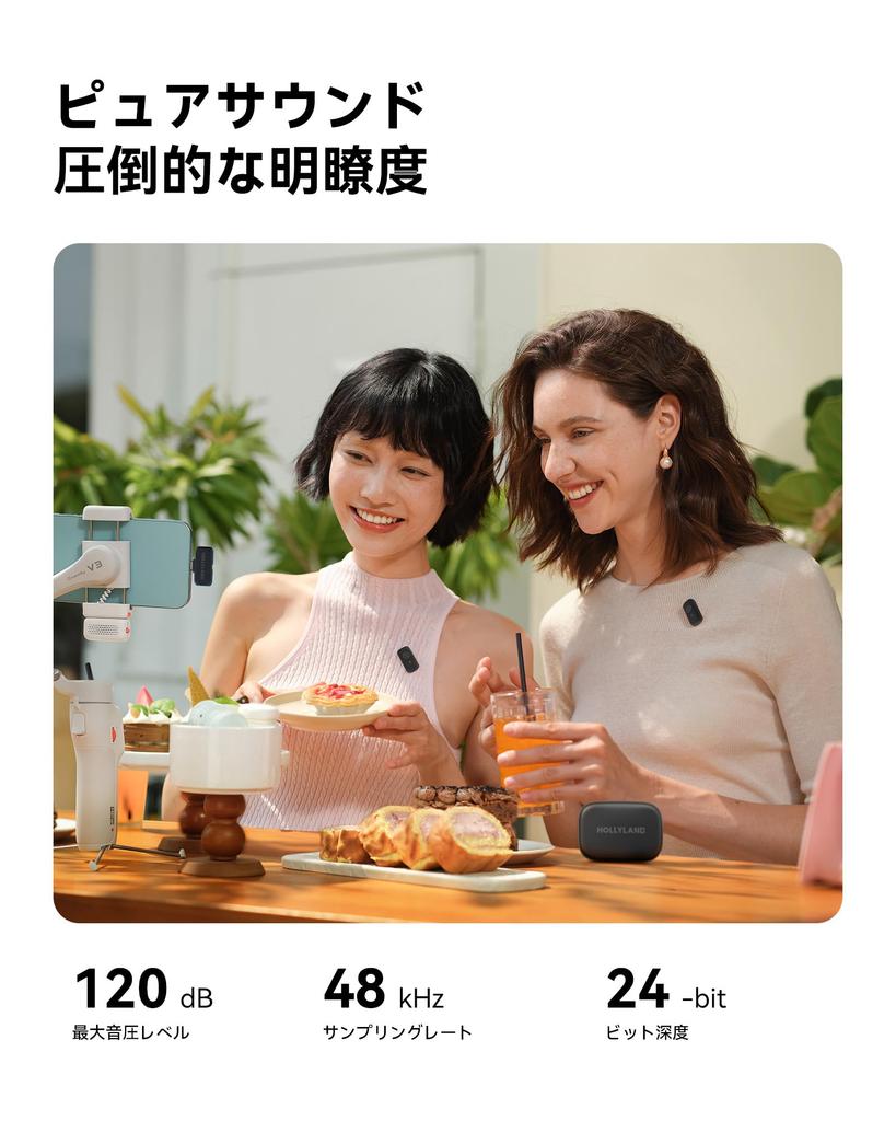 Hollyland LARK A1 Combo Wireless Microphone Lapel Microphone for iPhone Android Mini Microphone with Sound Instant Noise EQ Reverb 200m Transmission