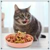4 Stück Katzen Näpfe 13,97 cm Breit Flach Haustier Futter- und Wassernäpfe Kunststoff Rutschfest Bunt Futterteller für Kleine Katzen Kätzchen