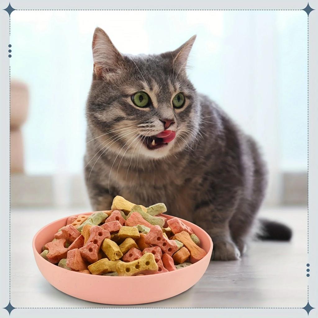 4 Stück Katzen Näpfe 13,97 cm Breit Flach Haustier Futter- und Wassernäpfe Kunststoff Rutschfest Bunt Futterteller für Kleine Katzen Kätzchen