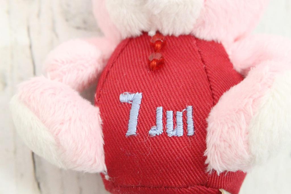 Odletový plyšák Petit BEAR'S365 Červenec Růžový
