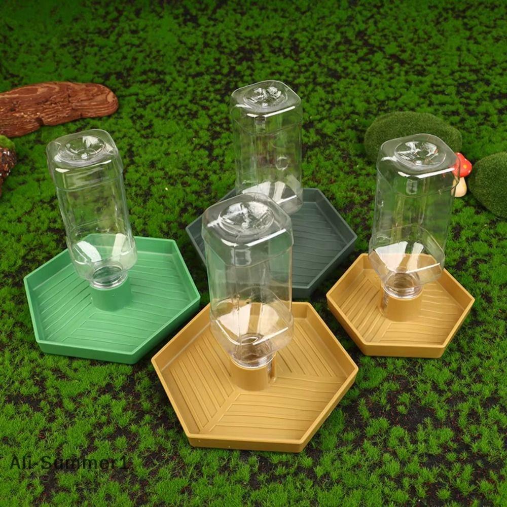 Detachable Turtle Water Bowl Stable Lizard Food Feeder Pet Supplies Reptiles Water Feeder  Vivarium