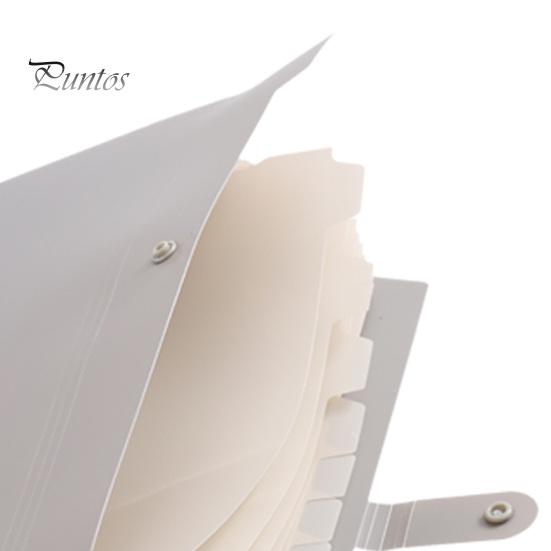 Plastic Document Organizer Expanding File Folder, Waterproof PP A4 Letter Size Durable School Case Organizer, Portable Receipt for And Office