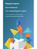 3D Magnetic Tangram Puzzle for Early Childhood Education