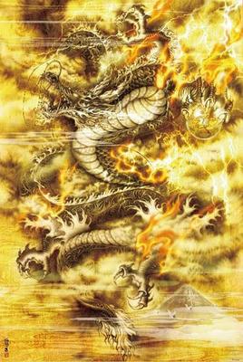 In Beverly 1000 Piece Jigsaw Puzzle Golden Flying Dragon X [Made Japan] (49 72cm) 61-462