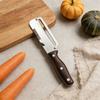 Multifunctional Stainless Steel Vegetable Peeler with Handle for Thick Fruit Skin and Scallion Slicing Kitchen Tool