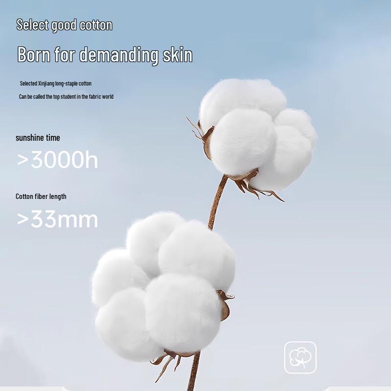 Xueqiman 4-Pack Low-Waist Antibacterial Cotton Maternity Underwear