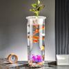 Cylinder Hydroponic Planter Vase Transparent Hydroponic Fish Tank  for Fish Green Plant