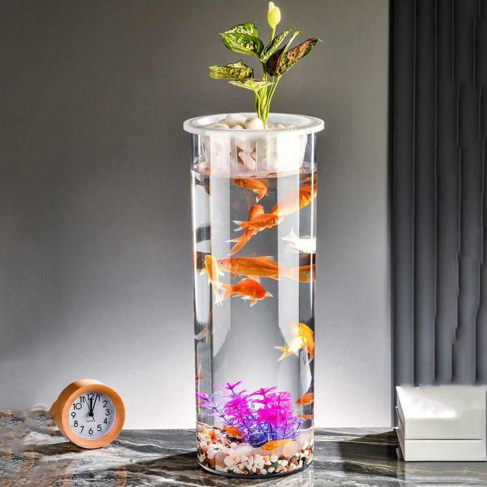 Cylinder Hydroponic Planter Vase Transparent Hydroponic Fish Tank  for Fish Green Plant