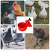 16 Pcs Automatic Chicken Water Cup Plastic Chicken Watering System Poultry Water Feeder Cup for Chicken Duck Goose Turkey