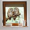 Owl Flower Branch Wall Stickers Living Room Glass Window Home Decorration Mural Bedroom Decor Self Adhesive Animal Decals
