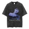 Vintage Washed Anime Perfect Blue Mima Kirigoe TShirts Mens Women Clothing Fashion Harajuku Oversized Short Sleeve T Shirts