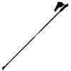 Viking Nordic Trekking Poles