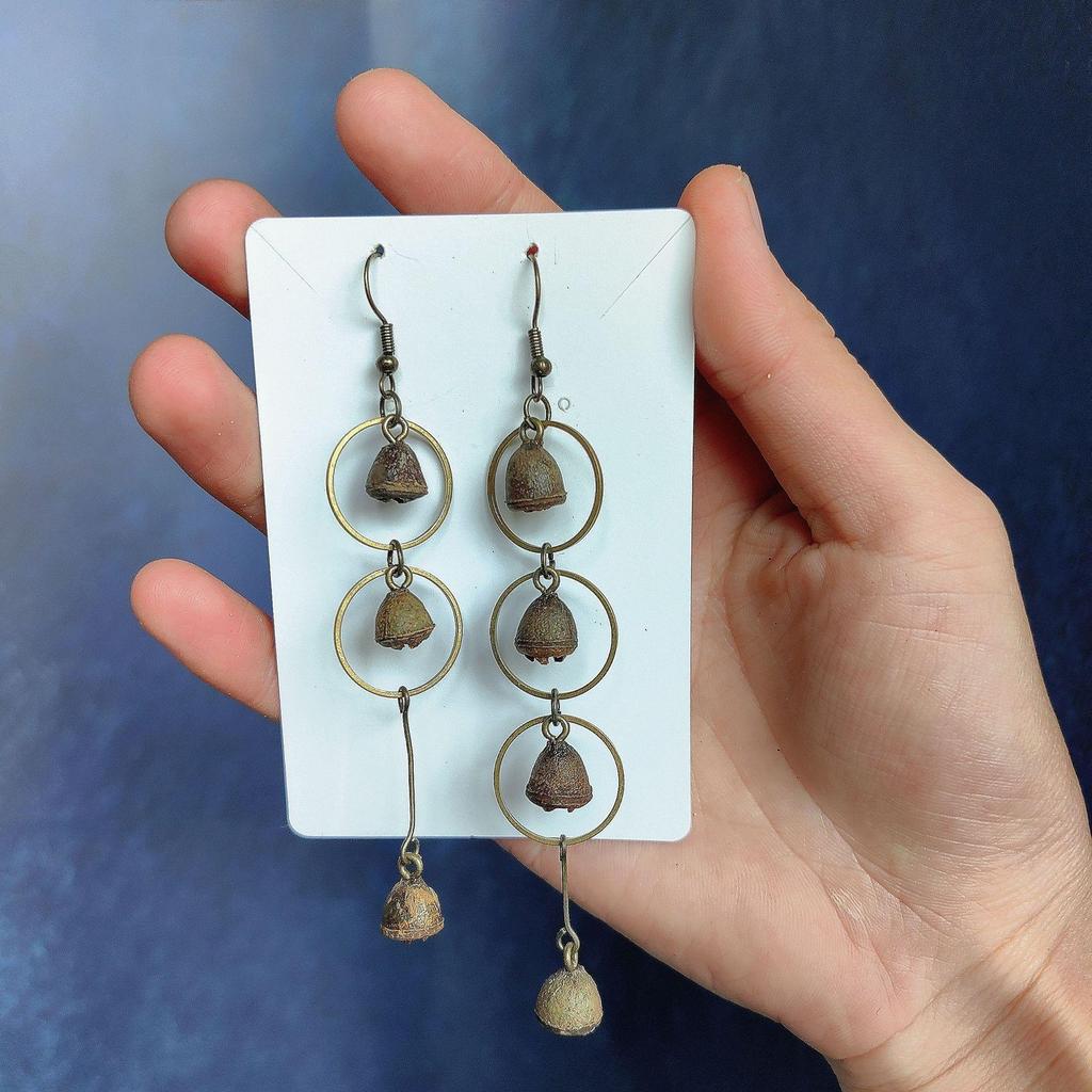 Fruit Earrings - Handmade Natural Dried Fruit Earrings, Retro Chinese Medicine Ethnic Style, for Women.