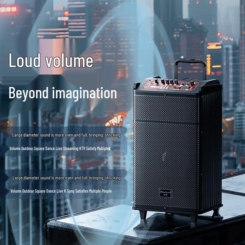 Newmine N520 12-inch Portable Bluetooth Trolley Speaker with Dual Mics CN Plug (adapter Included)