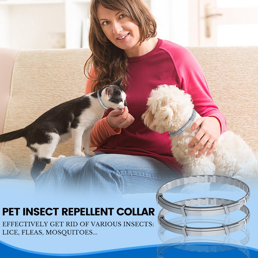 8 Months , Anti-parasite Collar, Anti-flea, Anti-tick, Leishmaniosis,For Small And Medium Dogs