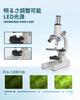 Microscope for Elementary School Students and Children with Popular for Junior High and High School Independent for Students and Beginner with