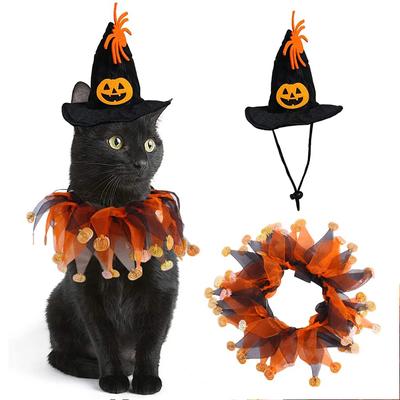 Kedi – Kediler için giyim