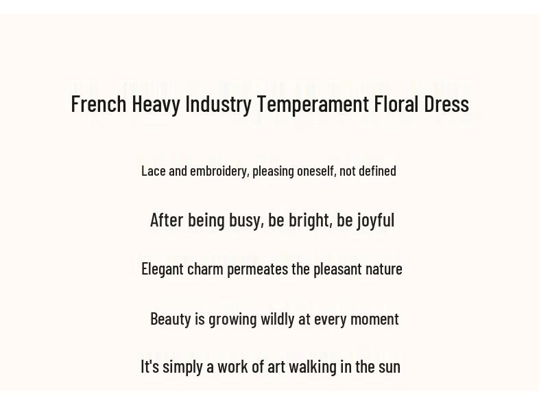 Demana French Style Lace Embroidered A-Line Dress