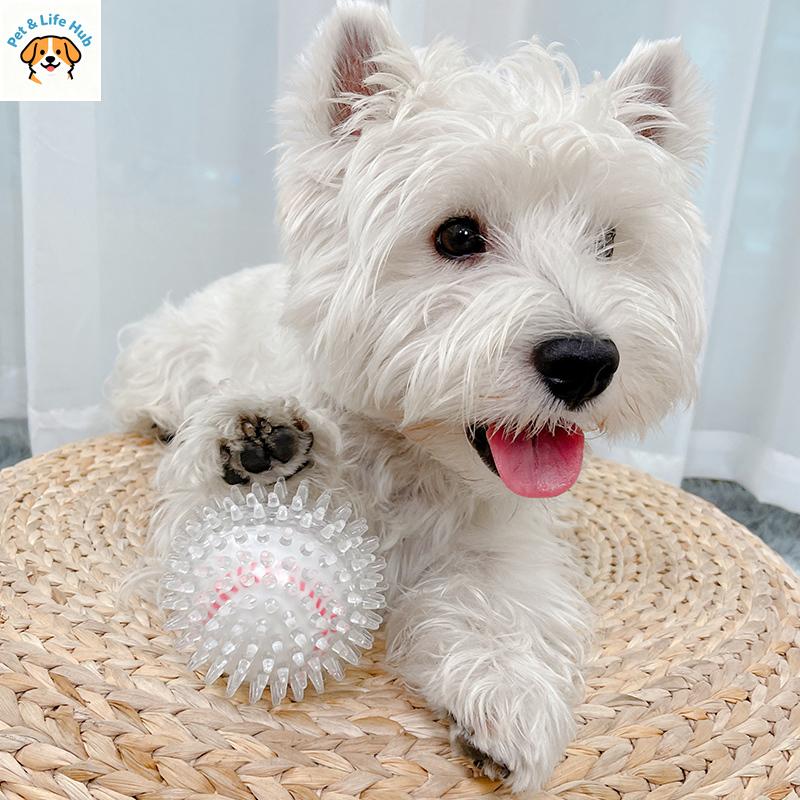 Dog bite resistant teeth molar toy ball pet rubber elastic ball border collar toy interactive dog amusement artifactPet supplies