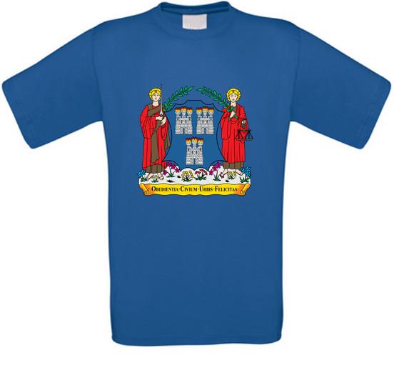 Dublin Baile Átha Cliath Ireland Ireland Eire T-Shirt All Sizes XXXL