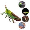 Model Locust Animal Toddler Christmas Decorations Ornaments Plastic Kid Cognitive Toy