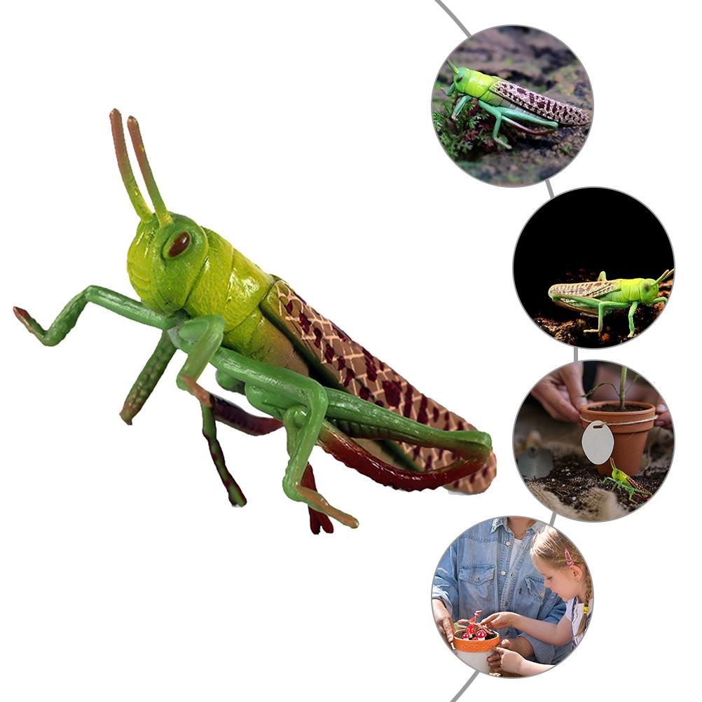 Model Locust Animal Toddler Christmas Decorations Ornaments Plastic Kid Cognitive Toy