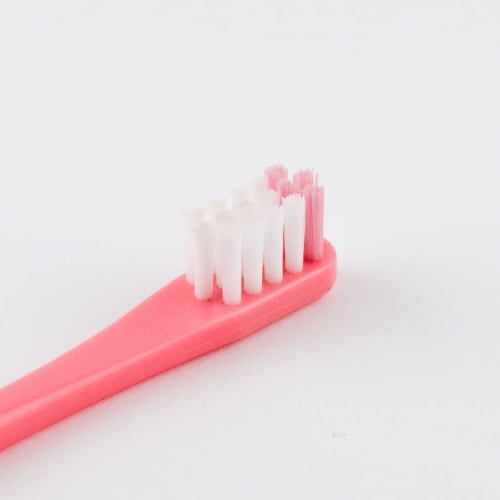 Fine POSY Finishing Brush, Set of 2, Ages 6 Months - 12 Years