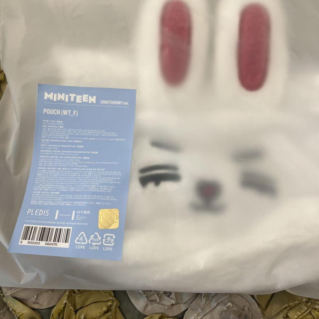 [USED] MINITEEN Pop-up Pouch Seventeen S.X.P.