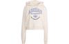 adidas Originals Varsity Graphic Hoodie IR6035