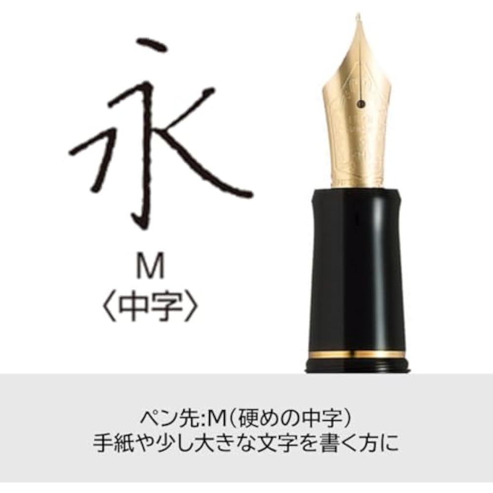 PILOT Custom 74 M Medium (Medium) Black Black FKKN12SRBM Nib 14K Pilot
