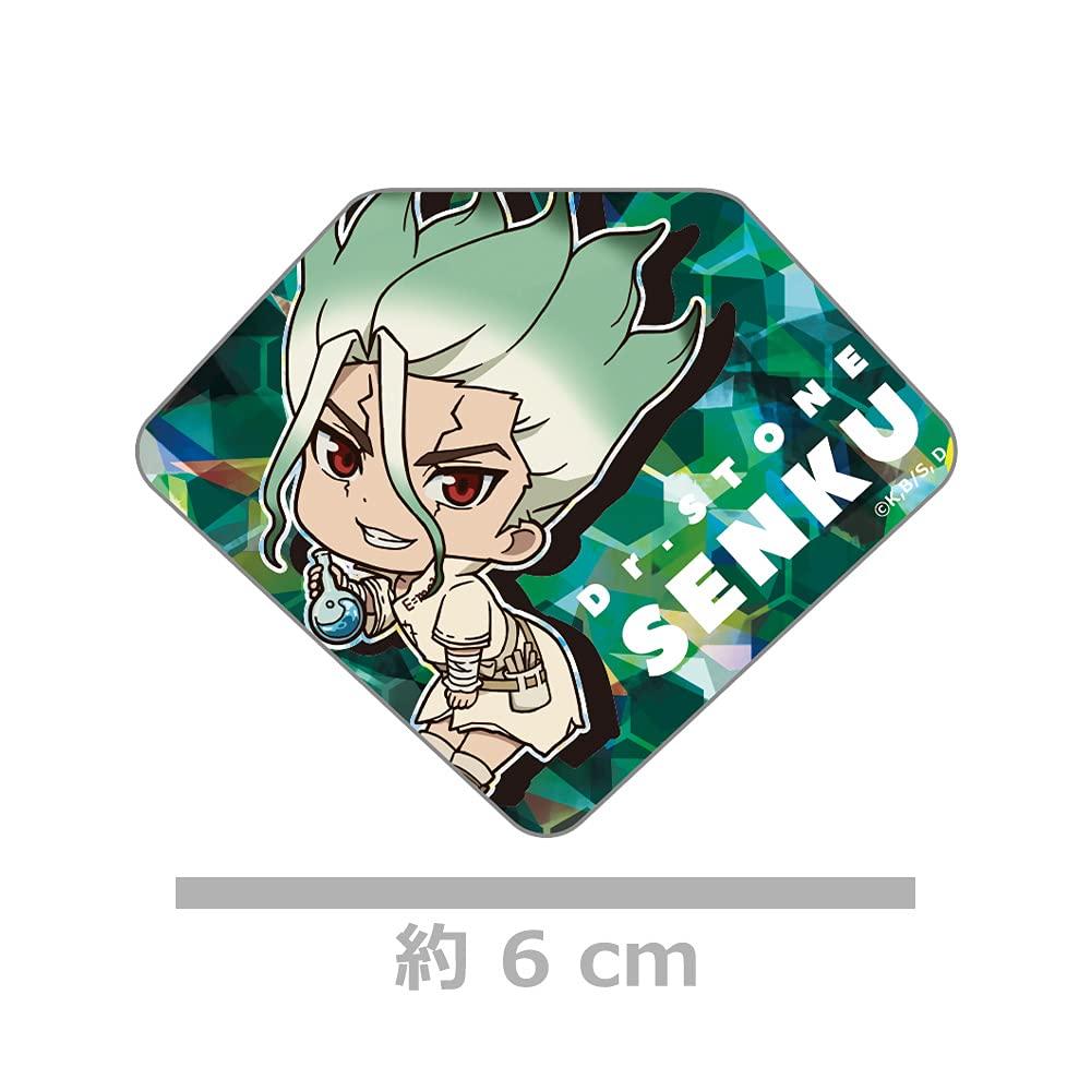 Stone Trading Prism Badge Dr. (Box)
