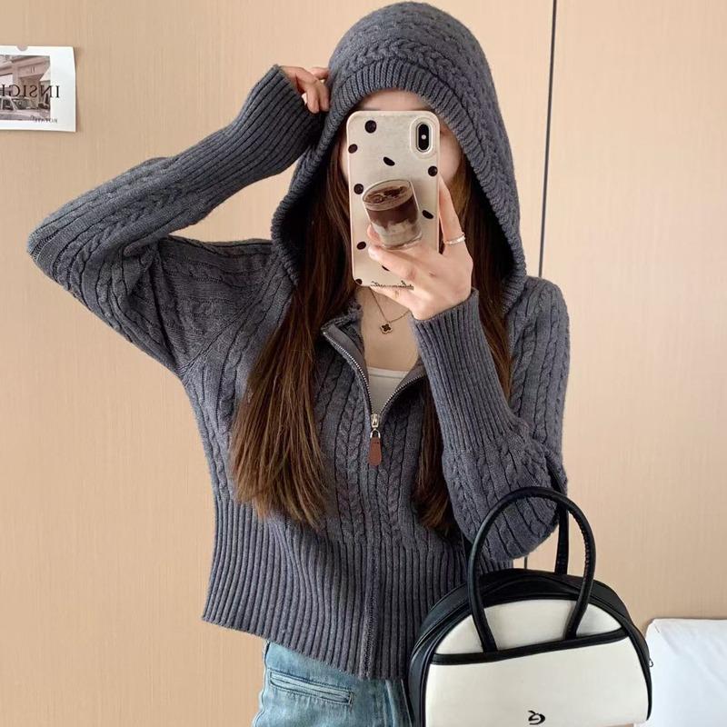 Twist Knitted Zipper Hooded Short Sweater Jacket Waist Slim and Thin Sweet Knitted Cardigan Women's Autumn