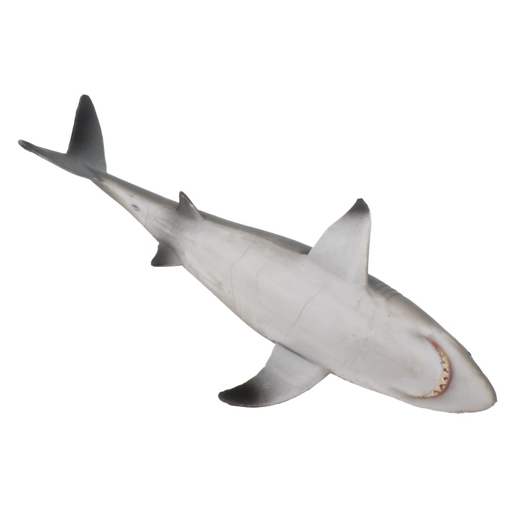 2pcs SHARK Sealife Toy Model Animal Figure - 22cm Solid Plastic