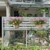 (1 Piece) (White Iron Frame 15cm) Round Balcony Railing Hanging Rack, Garden Iron Frame, Wall Mounted Flower Pot,