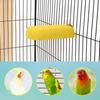 Hypeety Vogel Papagei Kalzium Zähne Mund Backenzahn Schleifstein Hamster Schleifstein Kauspielzeug Sitzstange Sprungständer für Papagei Wellensittich Chinchilla