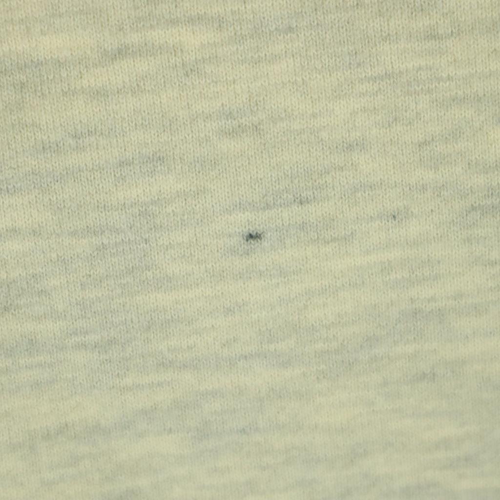 Champion 00s Back brushed One point logo Long sleeve Parker M Gray Old Men's Used