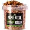 Reptiles – Cuidado de reptiles