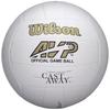 Wilson Cast Away Offizieller Mr Wilson Volleyball, Unisex-Volleyball in Weiß